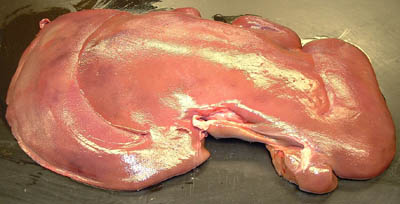 pork liver.jpg