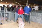 2011 Georgia Junior National Livestock Show