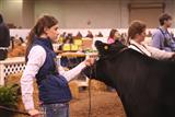 2015 Georgia Junior National Livestock Show