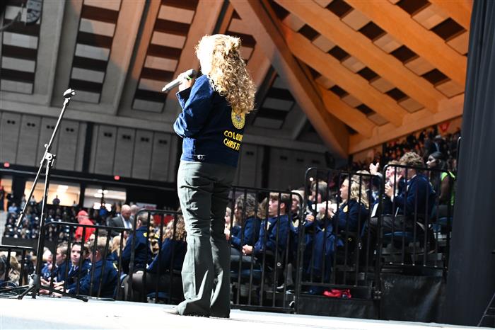 HyperLink