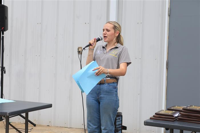 HyperLink