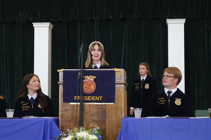 HyperLink