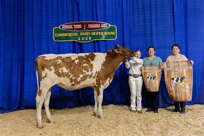 HyperLink