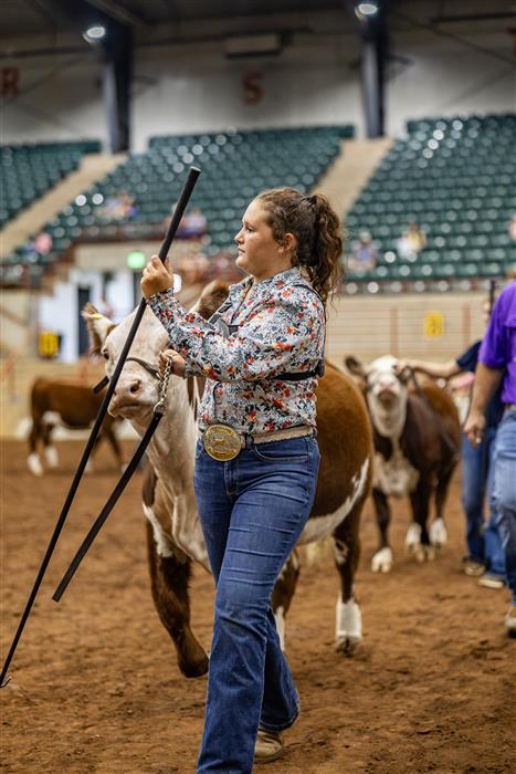 HyperLink