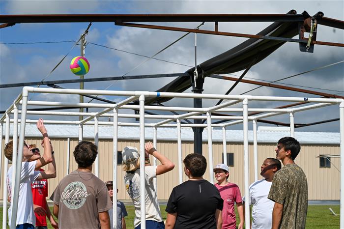 HyperLink