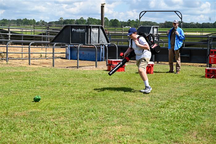 HyperLink